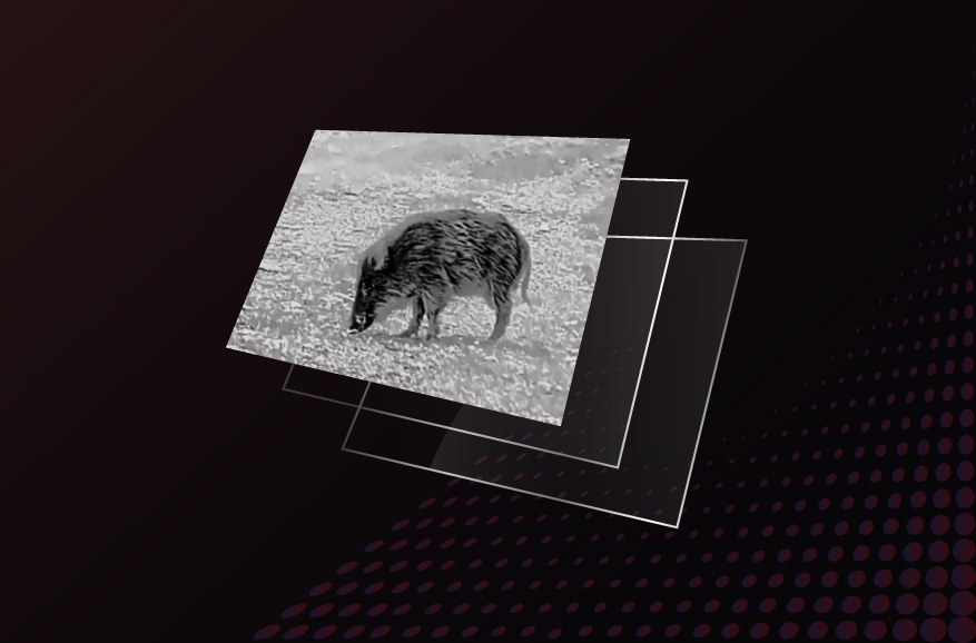 Wyświetlacz AMOLED Full HD