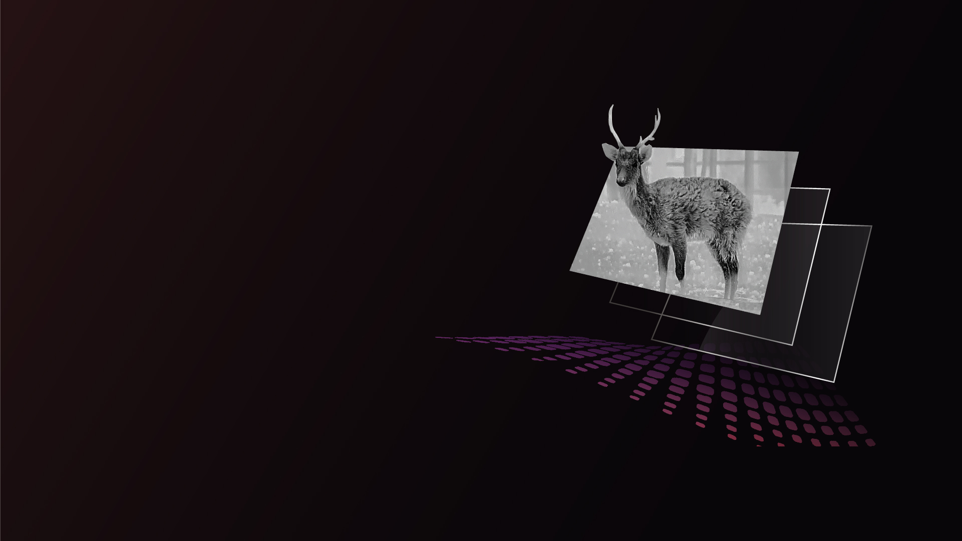 Wyświetlacz AMOLED o rozdzielczości 1920×1080