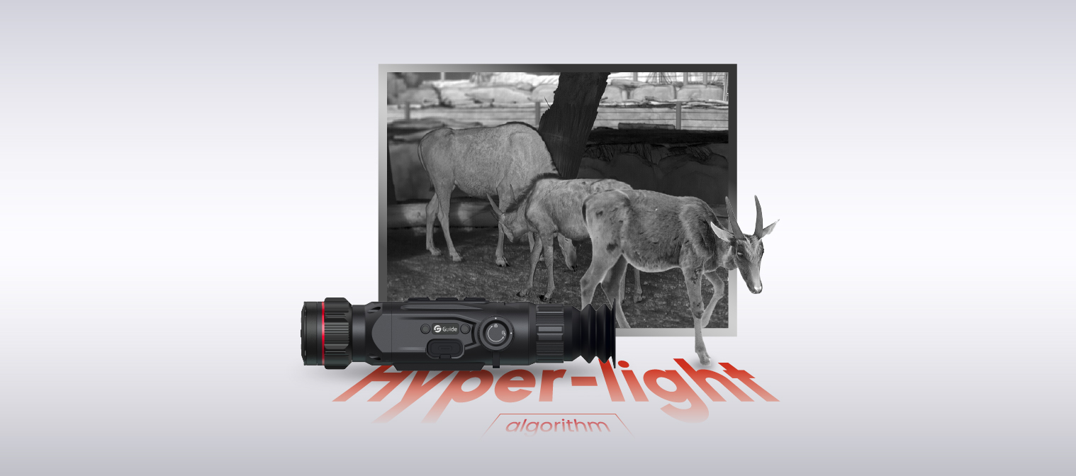 Algorytm Hyper-light<br>Żywe obrazy