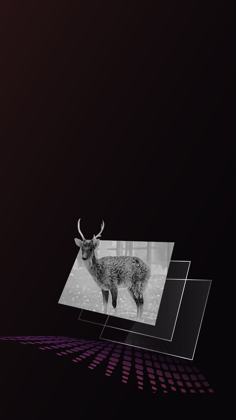 Wyświetlacz AMOLED o rozdzielczości 1920×1080