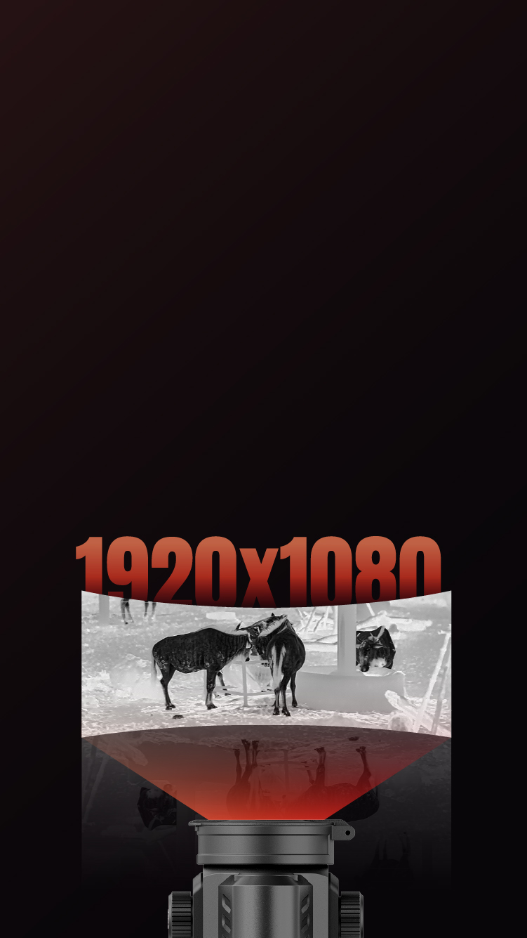 Wyświetlacz AMOLED Full HD 1920×1080
