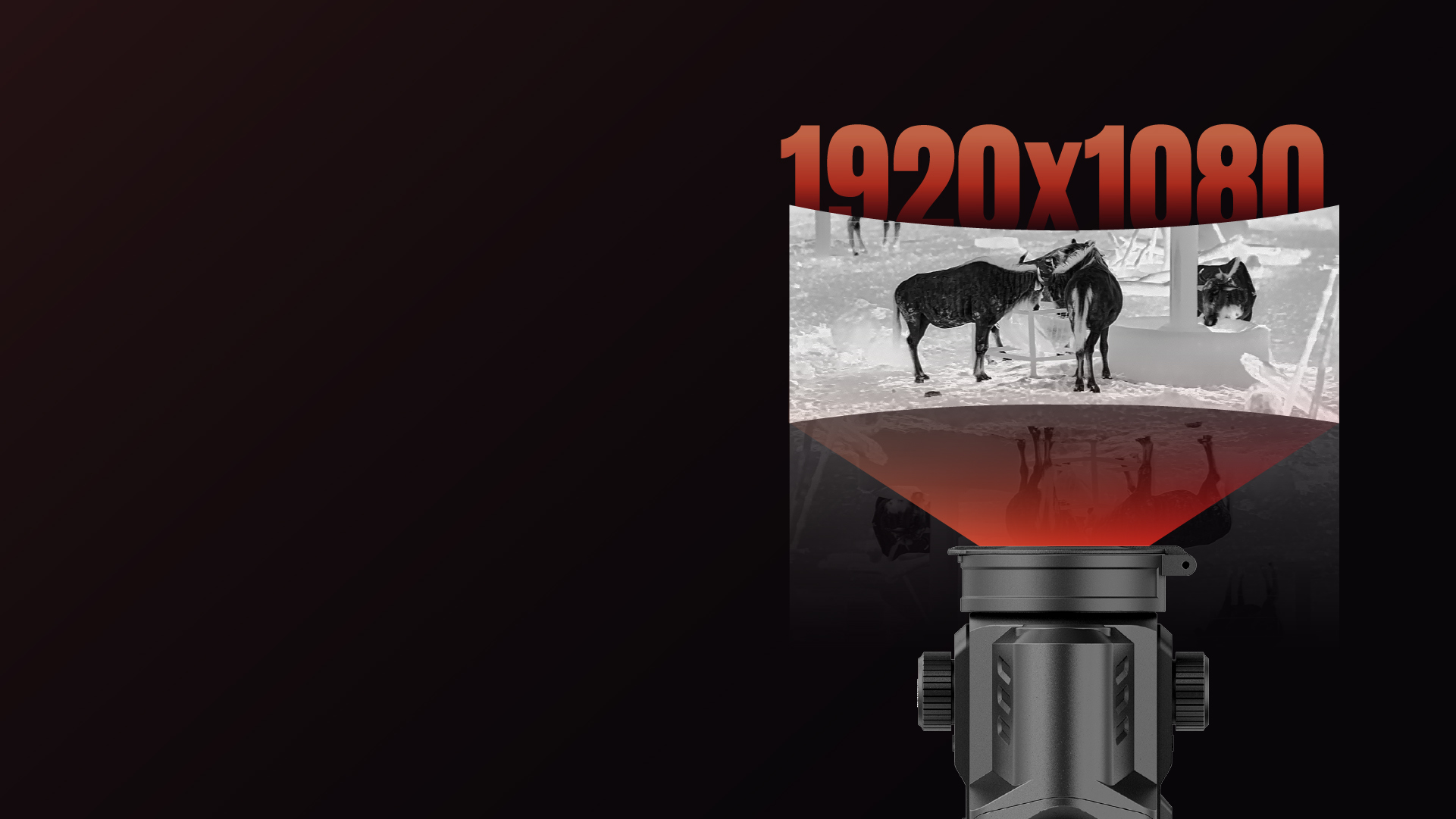 Wyświetlacz AMOLED Full HD 1920×1080